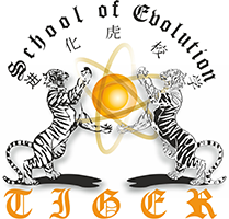 Evolution Tiger School - Martial Arts School - Fu Jow Pai Kung Fu